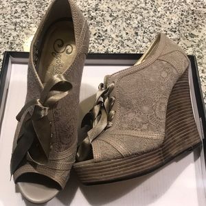 Seychelles Shoes. Brand new comfortable and cute!